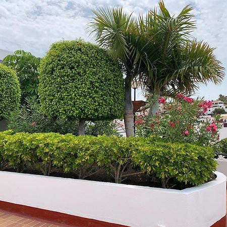 Ocean Breeze And Seaview Resort Costa Adeje  Exterior foto